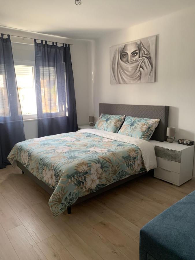 Apartment Blue Moon